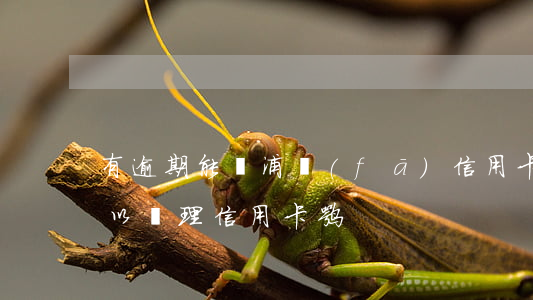 有逾期能辦浦發(fā)信用卡-有逾期可以辦理信用卡嘛