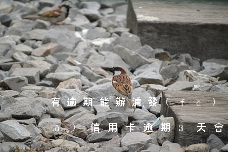 有逾期能辦浦發(fā)信用卡嗎(浦發(fā)信用卡逾期3天會影響個人信用嗎)