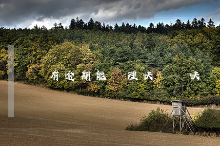 有逾期能辦理快貸嗎(快貸逾期怎么辦)
