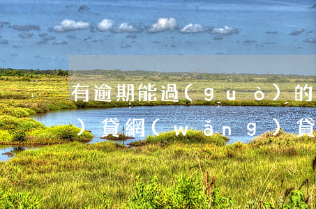 有逾期能過(guò)的大額網(wǎng)貸(網(wǎng)貸逾期嚴(yán)重嗎)