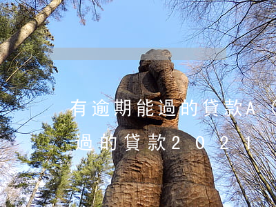 有逾期能過的貸款A(yù)PP(有逾期能過的貸款2021)