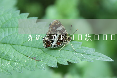有逾期能閃電貸款嗎(閃電逾期一天要不要緊)