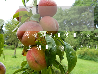 有逾期花唄被關(guān)了怎么還(花唄逾期關(guān)了之后是不是就是不能再用了)