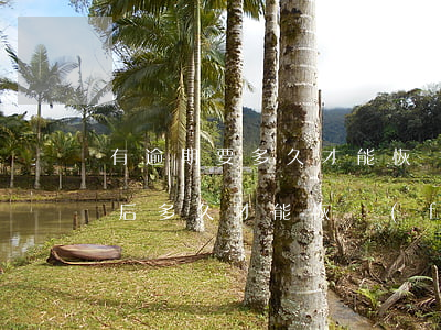 有逾期要多久才能恢復(fù)征信-逾期后多久才能恢復(fù)征信