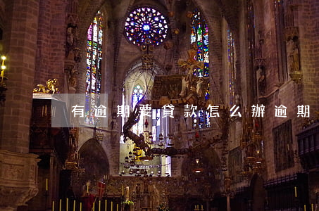 有逾期要貸款怎么辦(逾期了想貸款怎么辦)