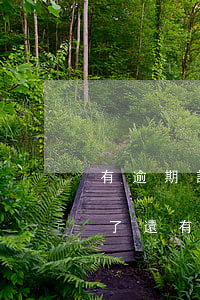 有逾期記錄也能借的網(wǎng)貸(逾期了還有什么網(wǎng)貸可以借)