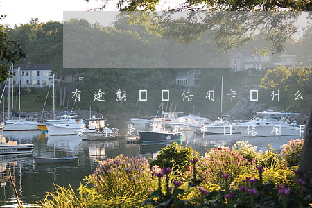 有逾期記錄信用卡為什么可以申請-有逾期是不是不能申請信用卡