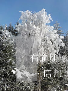 有逾期記錄信用卡還可以提額嗎-有逾期記錄信用卡還可以提額嗎知乎