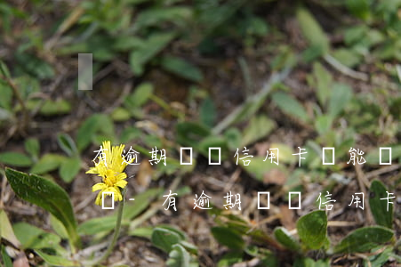 有逾期記錄信用卡還能審核通過(guò)嗎-有逾期記錄信用卡還能審核通過(guò)嗎?