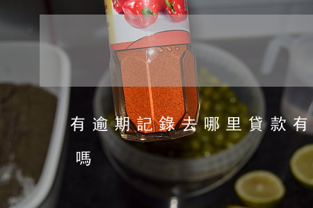 有逾期記錄去哪里貸款(有逾期記錄可以貸款嗎)