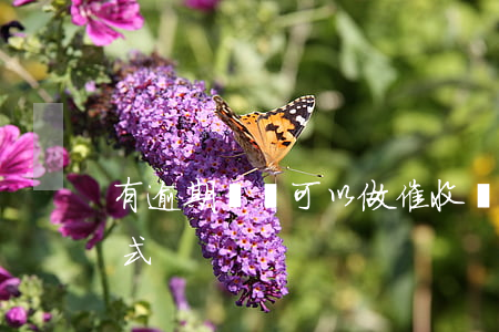 有逾期記錄可以做催收嗎(逾期催收的4種方式)