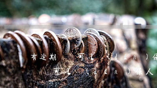 有逾期記錄可以擔(dān)保人-有逾期記錄可以擔(dān)保人貸款嗎