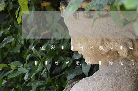 有逾期記錄可以激活別的信用卡嗎-有逾期記錄可以激活別的信用卡嗎
