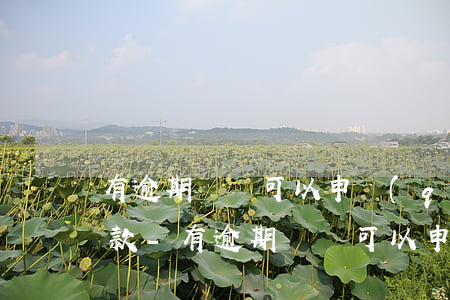 有逾期記錄可以申請(qǐng)公積金貸款-有逾期記錄可以申請(qǐng)公積金貸款嗎