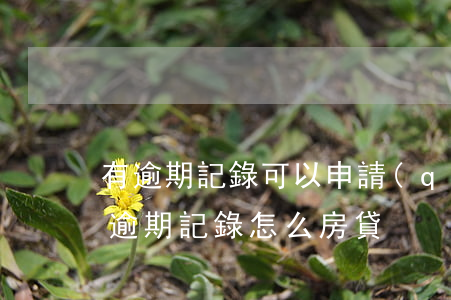 有逾期記錄可以申請(qǐng)房貸嗎（有逾期記錄怎么房貸）