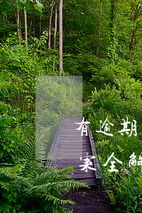 有逾期記錄可以申請貸款嗎？影響及解決方案全解析