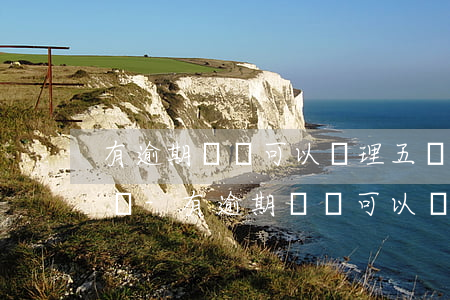 有逾期記錄可以辦理五險(xiǎn)一金嗎-有逾期記錄可以辦理五險(xiǎn)一金嗎