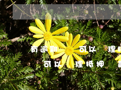 有逾期記錄可以辦理抵押貸款嗎-有逾期記錄可以辦理抵押貸款嗎知乎