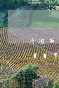有逾期記錄可以開通借唄嗎(支付寶有過逾期記錄,多久可以再用借唄)