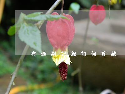 有逾期記錄如何貸款