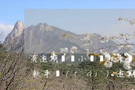 有逾期記錄小額貸款平臺(tái)(小額貸款平臺(tái)逾期多久起訴)