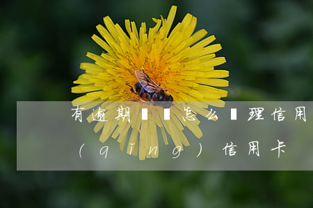 有逾期記錄怎么辦理信用卡(有逾期記錄申請(qǐng)信用卡)