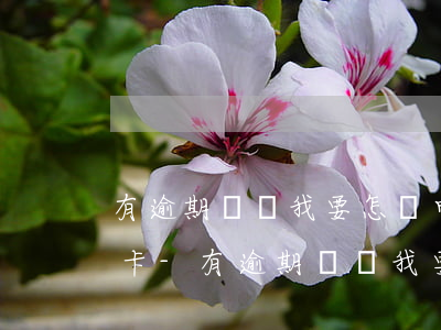 有逾期記錄我要怎樣申請(qǐng)信用卡-有逾期記錄我要怎樣申請(qǐng)信用卡呢