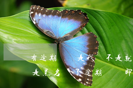 有逾期記錄,是我們不是就已經(jīng)是黑名單了，逾期記錄即黑名單，我們需警惕