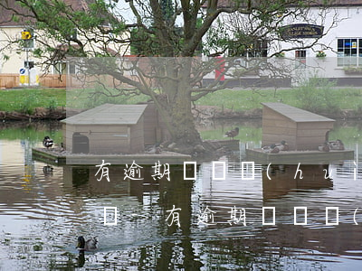 有逾期記錄會(huì)影響孩子上幼兒園嗎-有逾期記錄會(huì)影響孩子上幼兒園嗎知乎