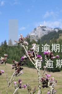 有逾期記錄申請哪個(gè)銀行信用卡-有逾期記錄申請哪個(gè)銀行信用卡容易通過