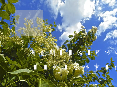 有逾期記錄的還可以申請信用卡嗎-有逾期記錄的還可以申請信用卡嗎知乎