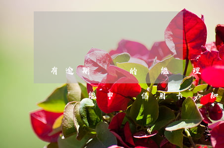有逾期記錄的還能辦理銀行貸款嗎（有逾期記錄還能申請信用卡嗎知乎）