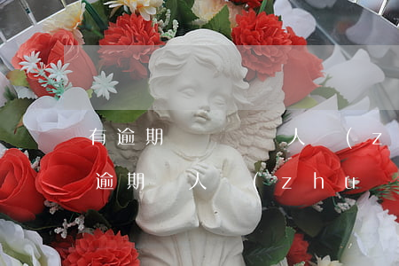 有逾期記錄給別人轉(zhuǎn)賬-有逾期別人轉(zhuǎn)賬一直收不到