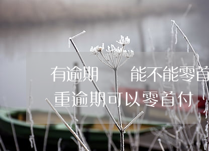有逾期記錄能不能零首付買車（嚴(yán)重逾期可以零首付買車嗎）