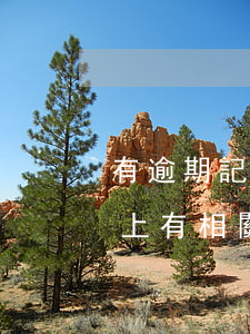 有逾期記錄能否報(bào)考特崗？知乎上有相關(guān)回答嗎？