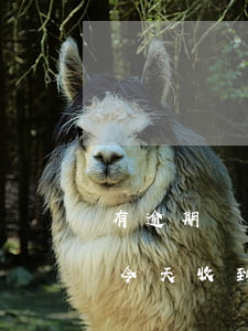有逾期記錄能建行快貸嗎(建行快貸逾期3年今天收到一條信息)