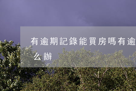 有逾期記錄能買房嗎（有逾期記錄又想買房怎么辦）