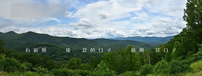 有逾期記錄能貸款的口子(無視逾期貸款口子)