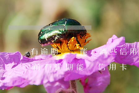 有逾期記錄能辦哪些信用卡(當(dāng)前有逾期能辦信用卡嗎)