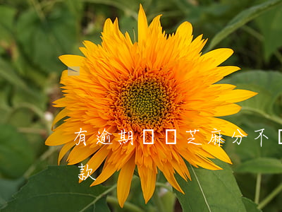 有逾期記錄芝麻分不漲-芝麻逾期后還能貸款