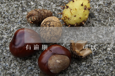 有逾期記錄買車可以貸款嗎?（逾期記錄能買車嗎）