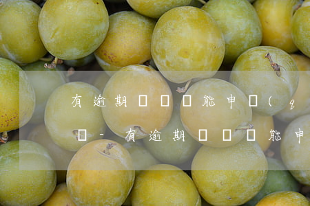 有逾期記錄還能申請(qǐng)公積金貸嗎-有逾期記錄還能申請(qǐng)公積金貸嗎知乎