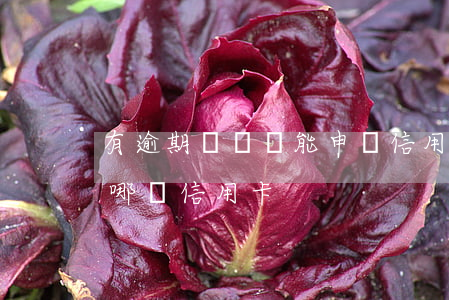 有逾期記錄還能申請信用卡(有逾期記錄申請哪個信用卡)