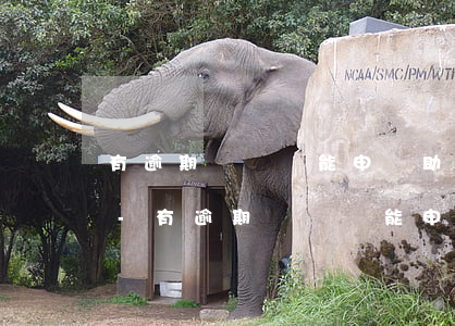 有逾期記錄還能申請助學(xué)貸款嗎-有逾期記錄還能申請助學(xué)貸款嗎知乎
