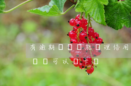 有逾期記錄還能辦理信用卡嗎（信用卡有逾期記錄可以換卡嗎）
