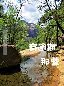 有逾期記錄那些貸款軟件能通過-有逾期記錄那些貸款軟件能通過嗎
