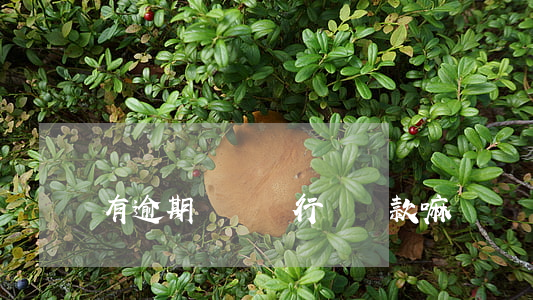 有逾期記錄銀行給貸款嘛