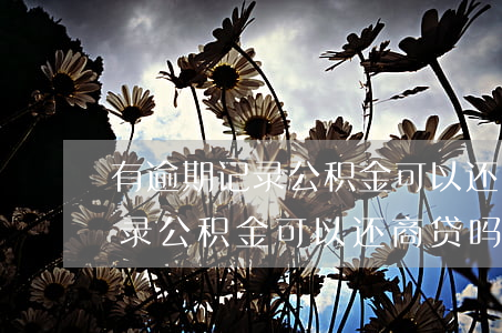 有逾期记录公积金可以还商贷吗-有逾期记录公积金可以还商贷吗