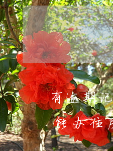 有逾期记录公积金还能贷款(如果有逾期记录能办住房公积金贷款吗)