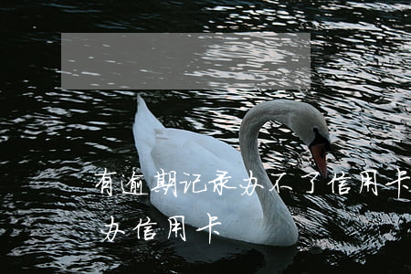有逾期记录办不了信用卡-有逾期记录怎么办信用卡